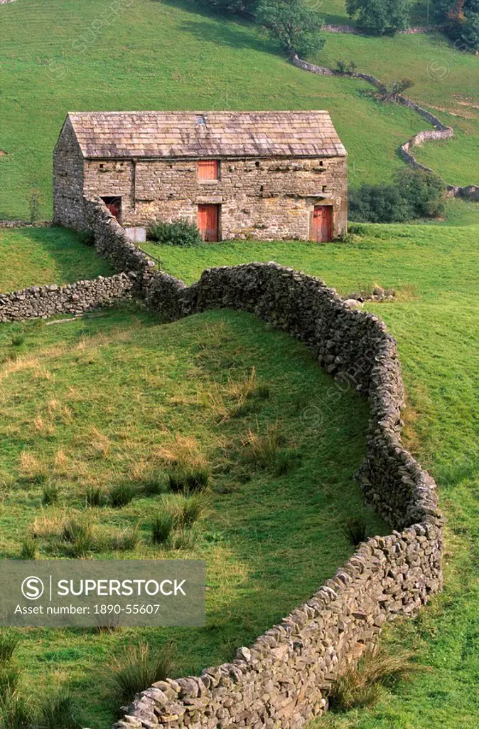 Traditional barn in upper Swaledale, Yorkshire Dales National Park, Yorkshire, England, United Kingdom, Europe