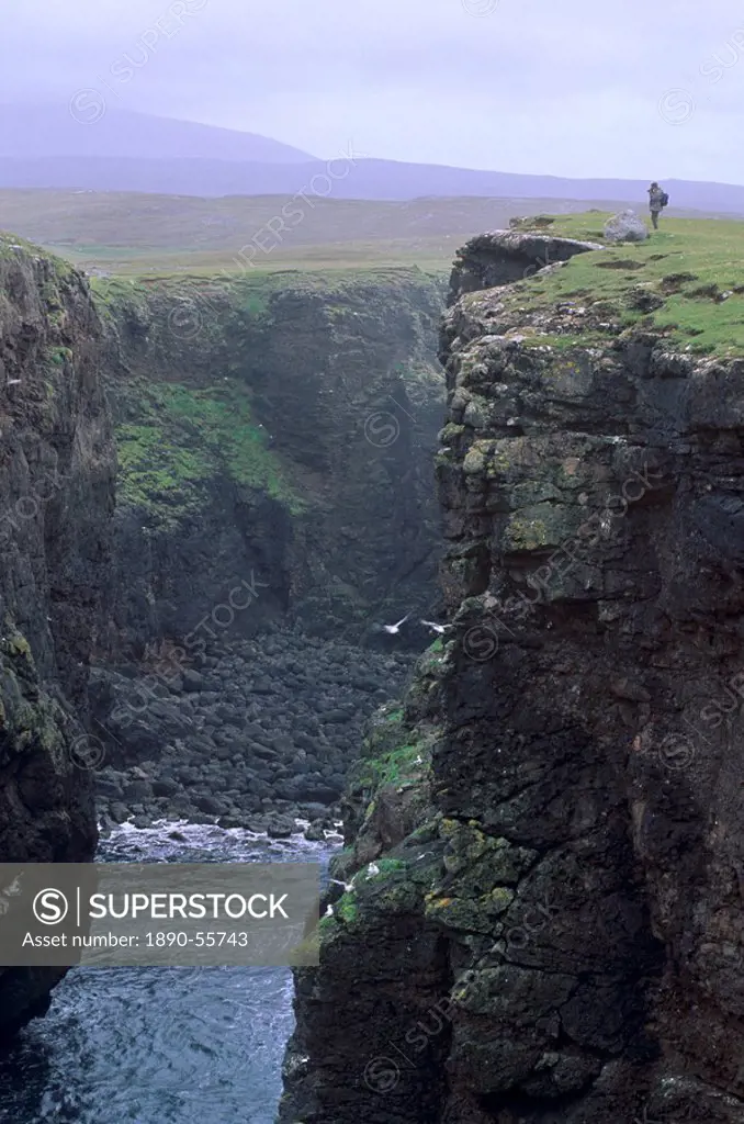 Eshaness basalt cliffs, Calder´s Geo, ancient volcanic crater, coast deeply eroded with caves, blowholes and stacks, Northmavine, Shetland Islands, Sc...