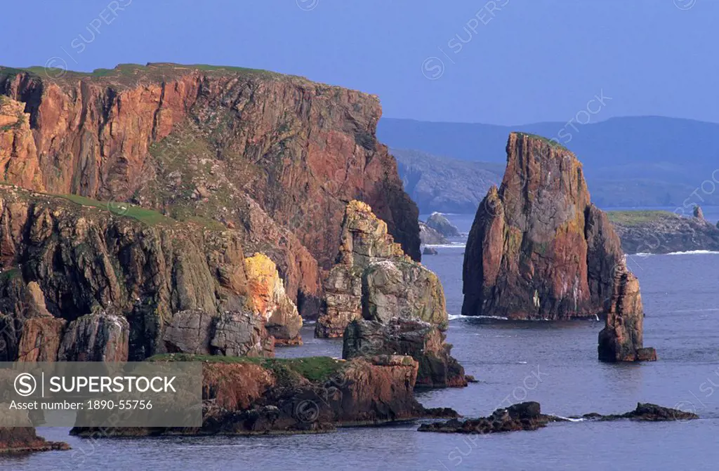 Stoura Pund cliffs and stacks of red sandstone, Eshaness, Northmavine, Shetland Islands, Scotland, United Kingdom, Europe