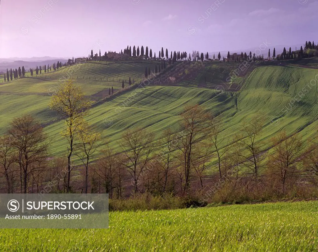 Landscape of the Crete Senesi area, southeast of Siena, near Arbia, Tuscany, Italy, Europe