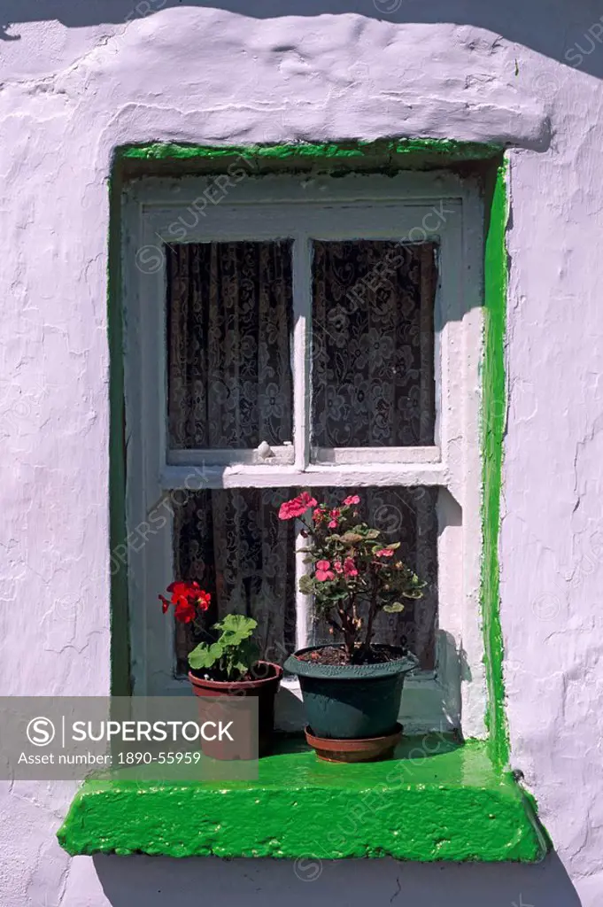 Green window in traditional house, Cashel, County Tipperary, Munster, Republic of Ireland, Europe