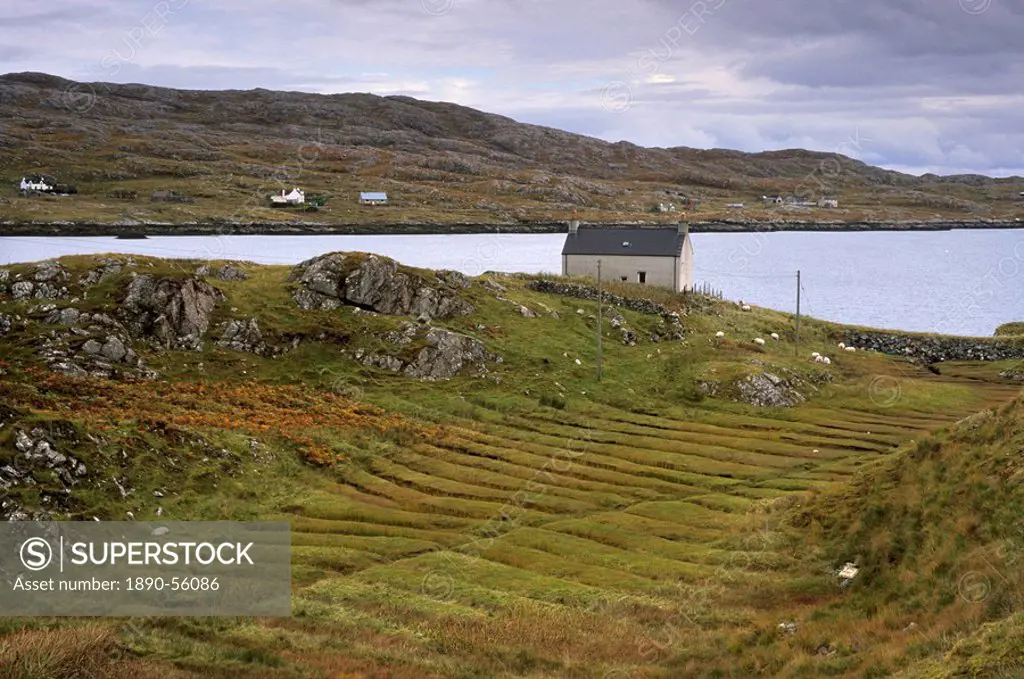 Lazybeds, remnants of ancient cultivation methods, east coast of South Harris, South Harris, Outer Hebrides, Scotland, United Kingdom, Europe