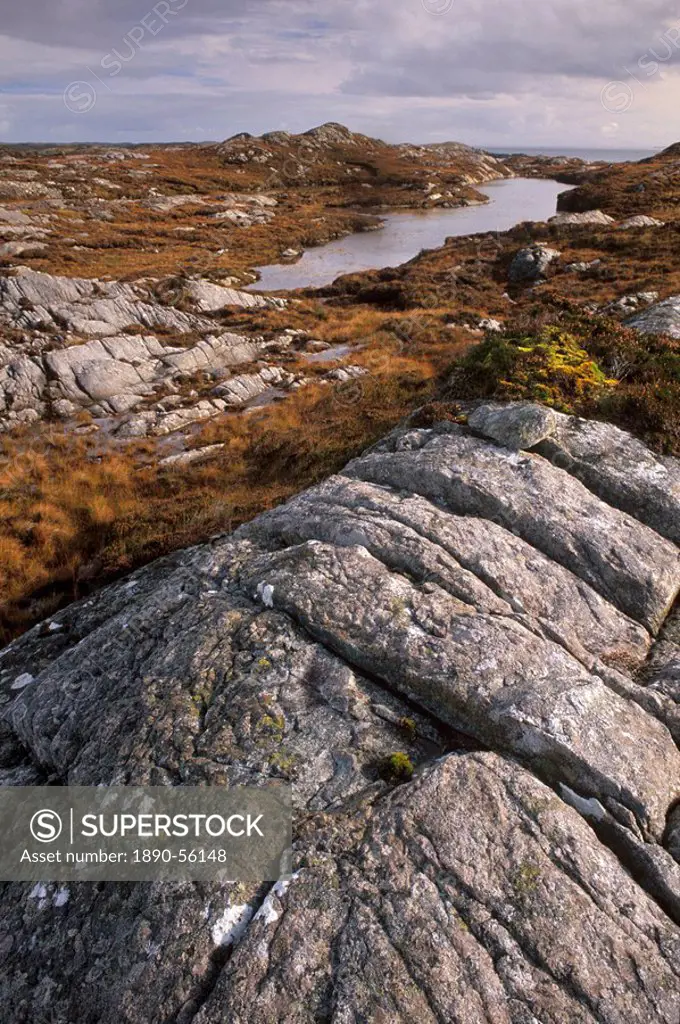 Lewisian gneiss, one of the oldest rocks on earth formed 2 billion years ago, Isle of Lewis, Outer Hebrides, Scotland, United Kingdom, Europe