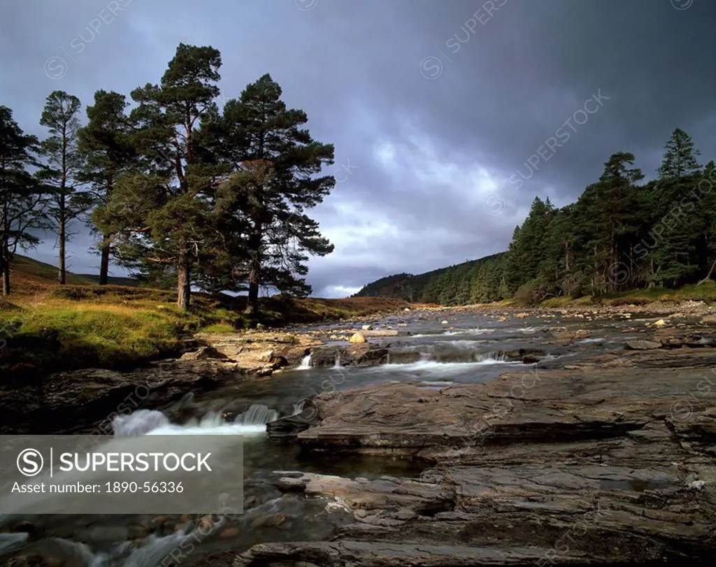 Scots pines and Upper Dee valley near Inverey, Aberdeenshire, Highland region, Scotland, United Kingdom, Europe
