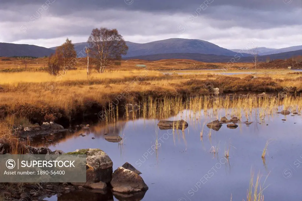 Loch Ba, Rannoch Moor, near Glencoe, Highland region, Scotland, United Kingdom, Europe