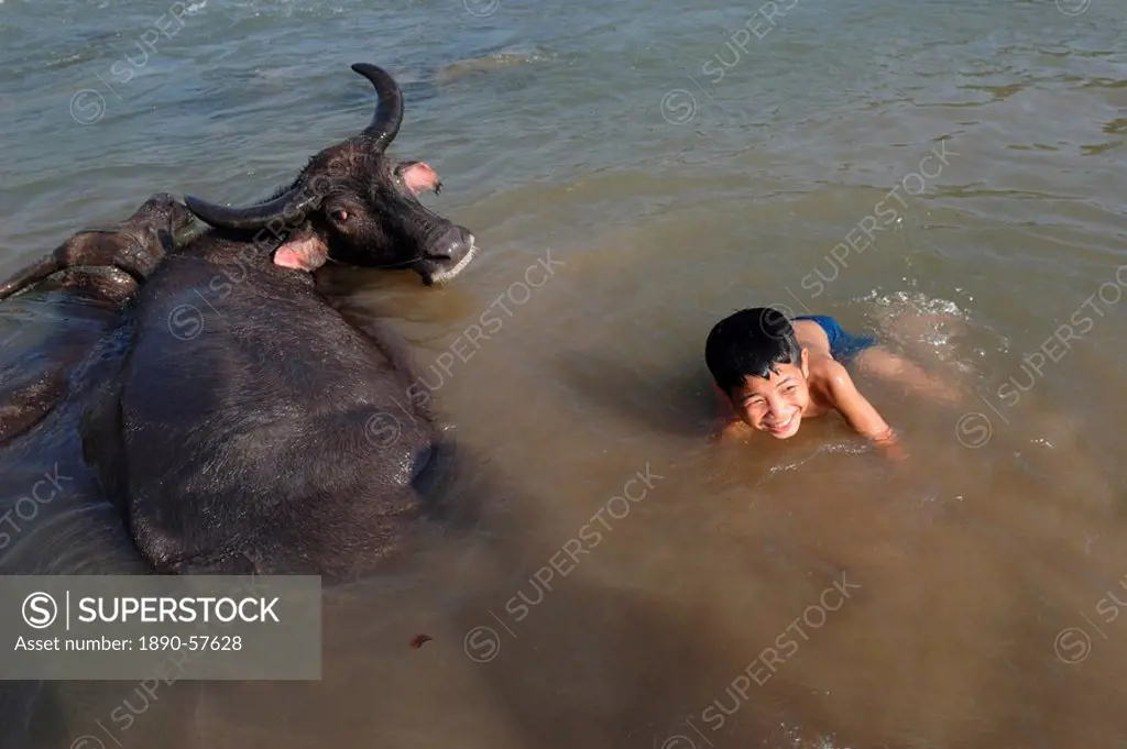 A boy bathes with his water buffalo in the Mekong river, near Kratie, eastern Cambodia, Indochina, Southeast Asia, Asia