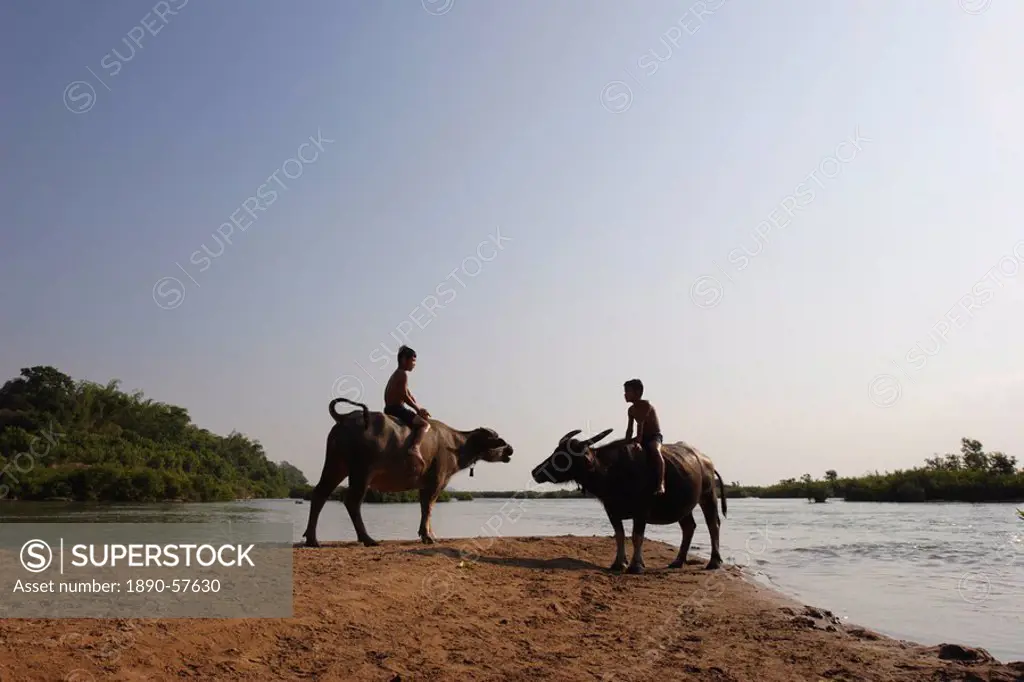 Two boys on water buffalo beside the Mekong river, near Kratie, eastern Cambodia, Indochina, Southeast Asia, Asia