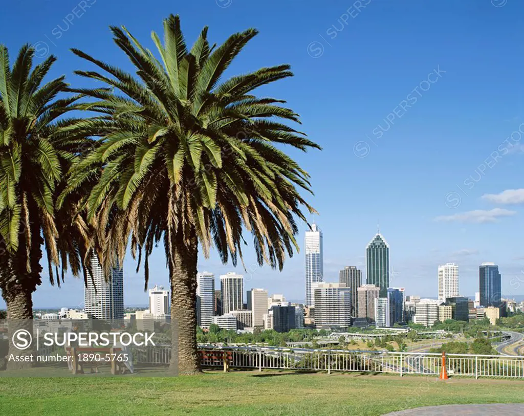 Palm trees and city skyline, Perth, Western Australia, Australia, Pacific