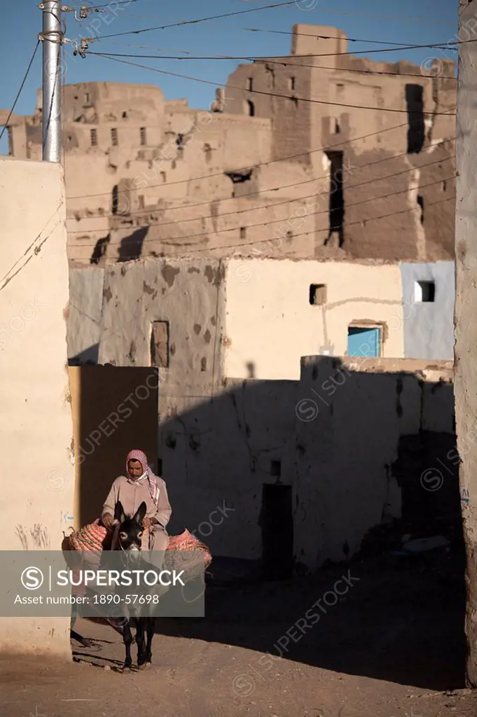 A man rides his mule through the streets of Al_Qasr, Dakhla Oasis, Egypt, North Africa, Africa