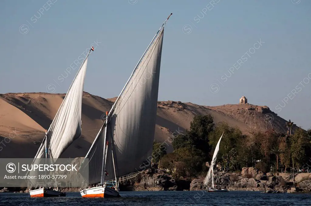 Feluccas sailing on the river Nile at Aswan, Egypt, North Africa, Africa