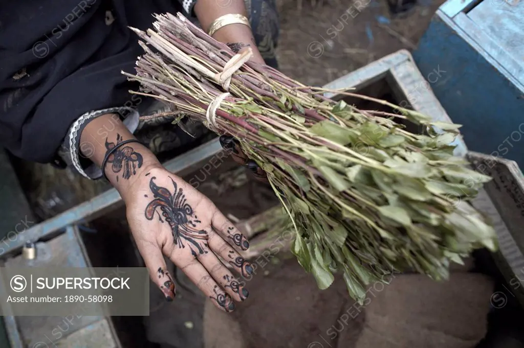 Henna adorn the hands of a woman selling khat qat chat in the city of Hargeisa, capital of Somaliland, Somalia, Africa