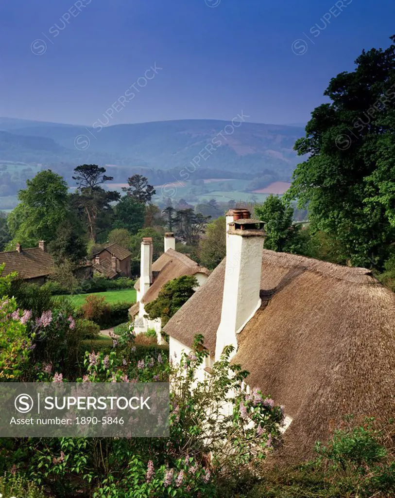 Thatched cottages at Selworthy Green, with Exmoor beyond, Somerset, England, United Kingdom, Europe
