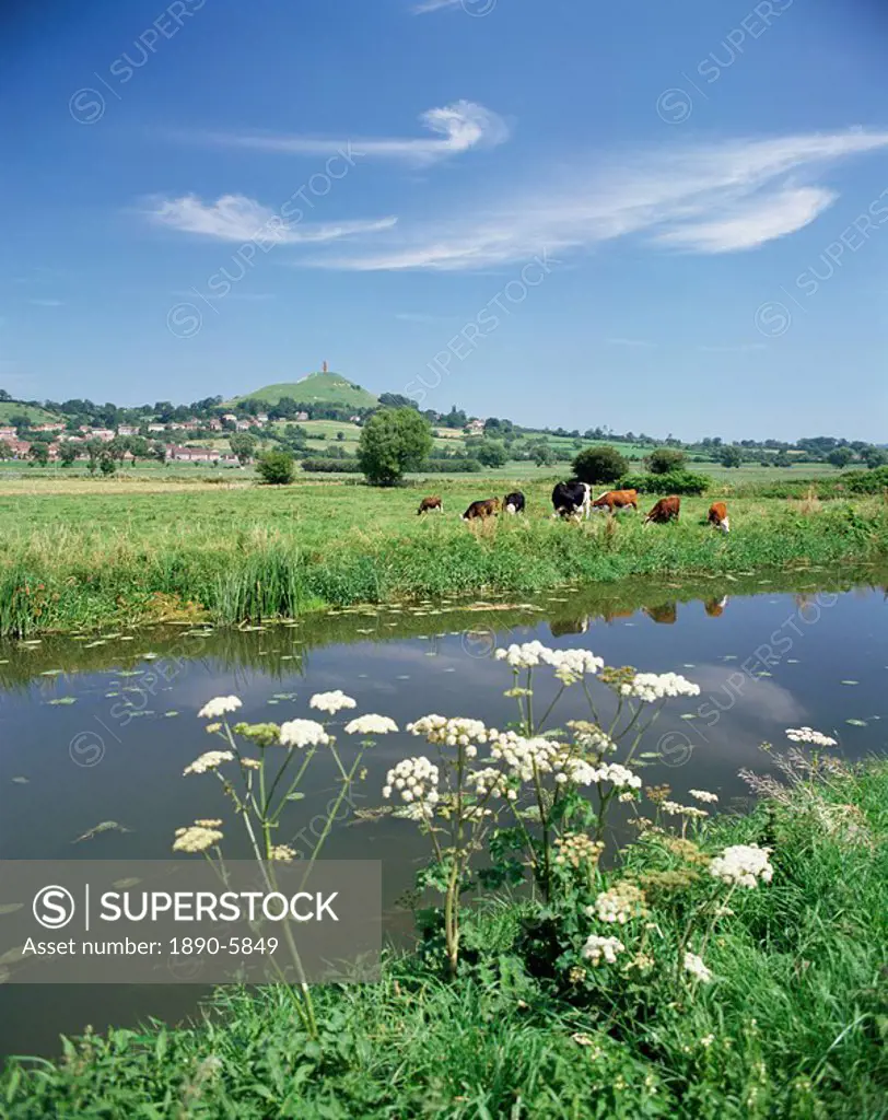 River Brue with Glastonbury Tor in the distance, Somerset, England, United Kingdom, Europe