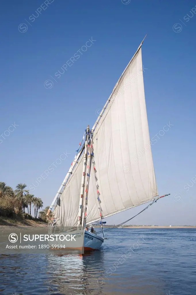 Felucca, River Nile, Luxor, Egypt, North Africa, Africa