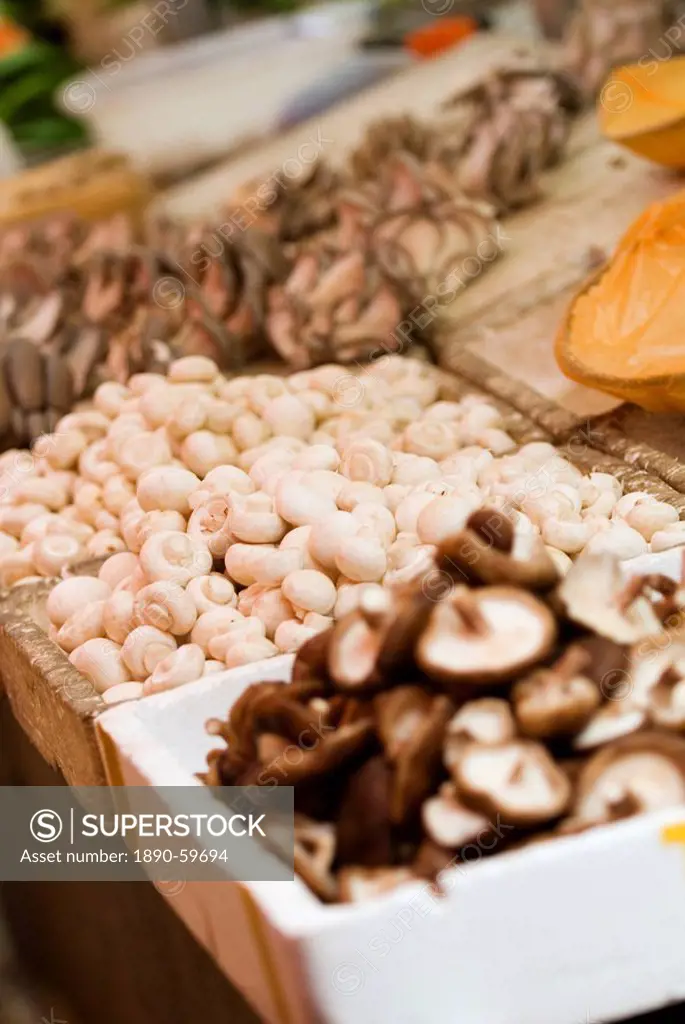 Mushroom stall at market, Xining, Qinghai, China, Asia
