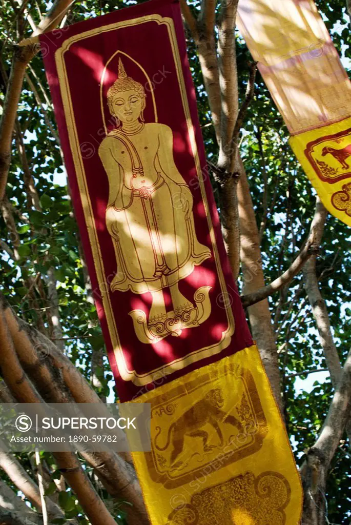 Buddhist flags in temple trees, Chiang Mai, Thailand, Southeast Asia, Asia