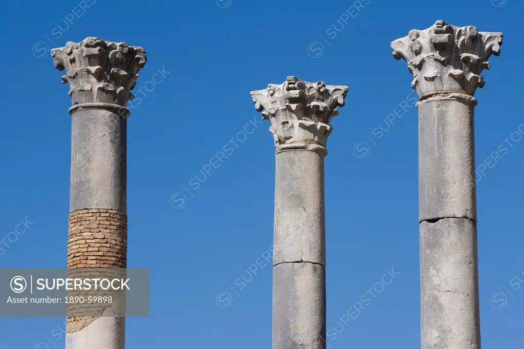 Columns of the ruined Capital building, Volubilis, UNESCO World Heritage Site, Morocco, North Africa, Africa