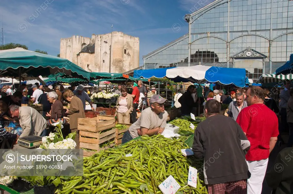 Runner beans on sale at the open_air market, Niort, Deux_Sevres, Poitou Charentes, France, Europe