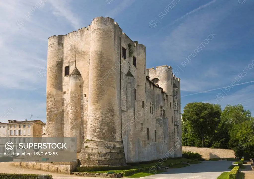 Medieval donjon in the centre of Niort, Deux_Sevres, Poitou Charentes, France, Europe