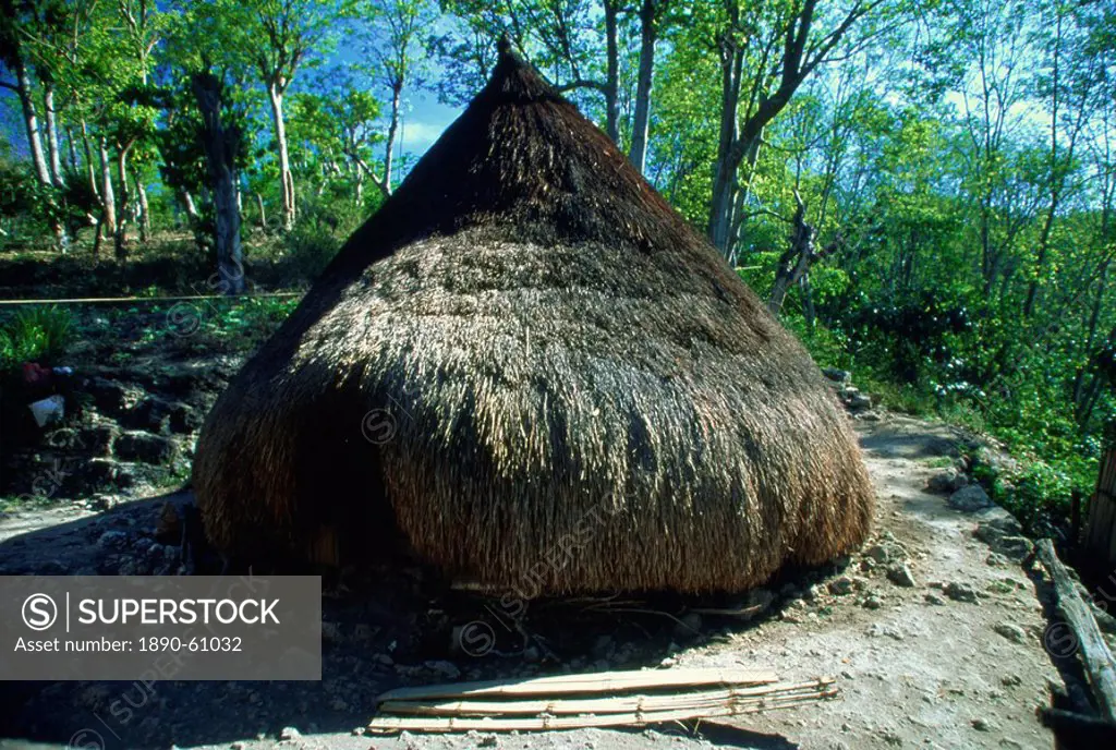 Traditional conical hut in town of Kefamenanu, western Timor, Southeast Asia, Asia