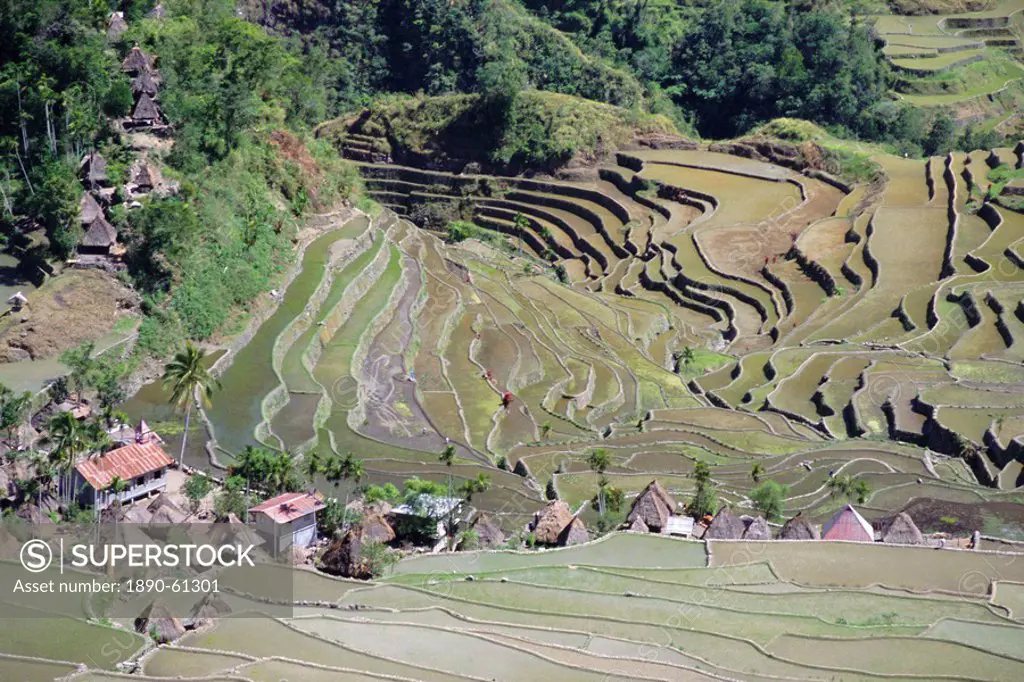 Spectacular amphitheatre of rice terraces around the mountain province village of Batad, northern area of the island of Luzon, Philippines, Southeast ...