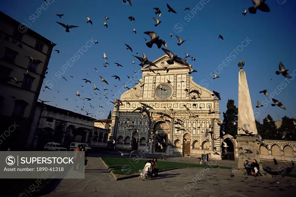 Pigeons in flight in the Piazza Santa Maria Novella, Florence, Tuscany, Italy, Europe
