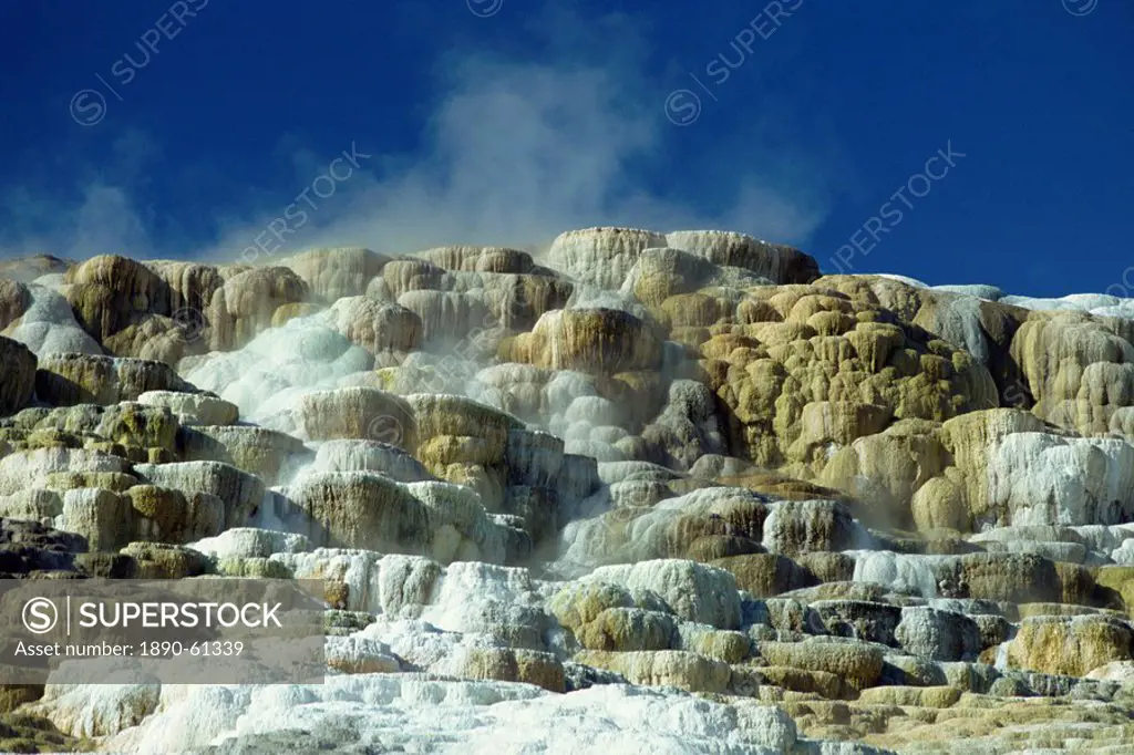 Close_up of the limestone terraces formed by volcanic water depositing six inches of calcium carbonate a year, Mammoth Hot Springs and Terraces, Yello...