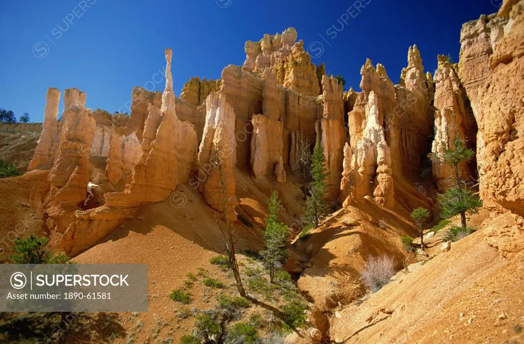 Bizarre rock sculptures in the Queens Garden of the Bryce Amphitheatre, formed by rapid erosion, Bryce Canyon National Park, Utah, United States of Am...