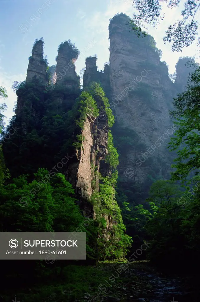 The spectacular limestone outcrops and forested valleys of Zhangjiajie Forest Park, Wulingyuan Scenic Area, UNESCO World Heritage Site, Hunan, China, ...