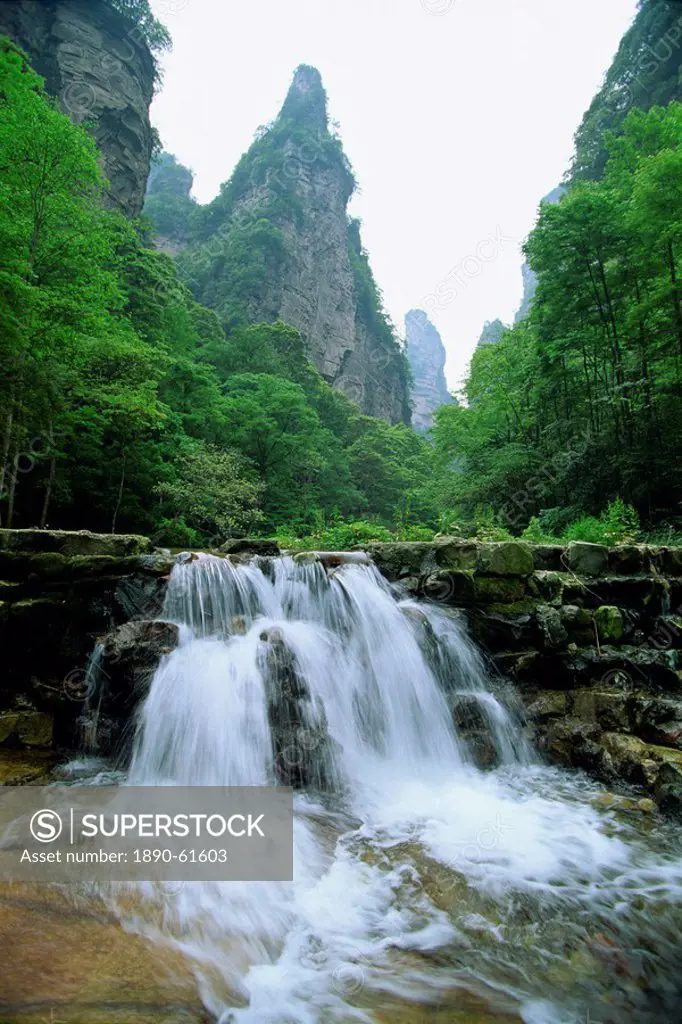 Small waterfall in spectacular limestone outcrops and forested valleys of Zhangjiajie Forest Park in Wulingyuan Scenic Area, UNESCO World Heritage Sit...