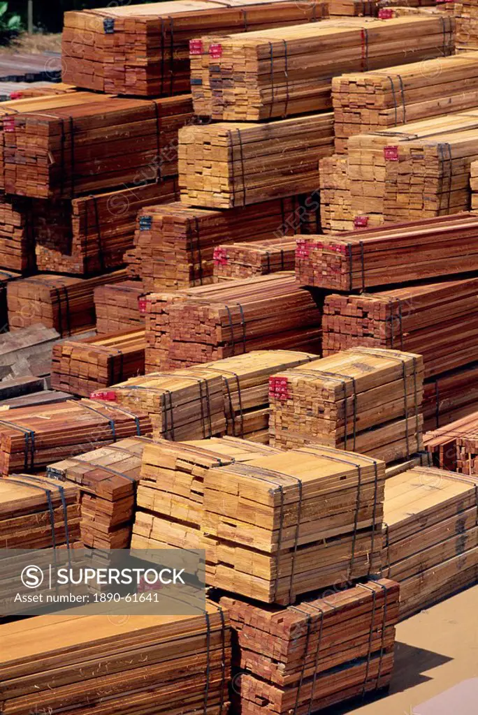 Piles of timber at Beaufort train station, from primary rain forest which has been logged out, north of Borneo, Sabah, Malaysia, Southeast Asia, Asia