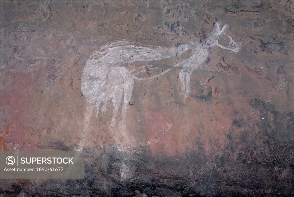 Painting of a kangaroo at Nourlangie Rock, the sacred aboriginal shelter and rock art site in the north east of Kakadu National Park, UNESCO World Her...