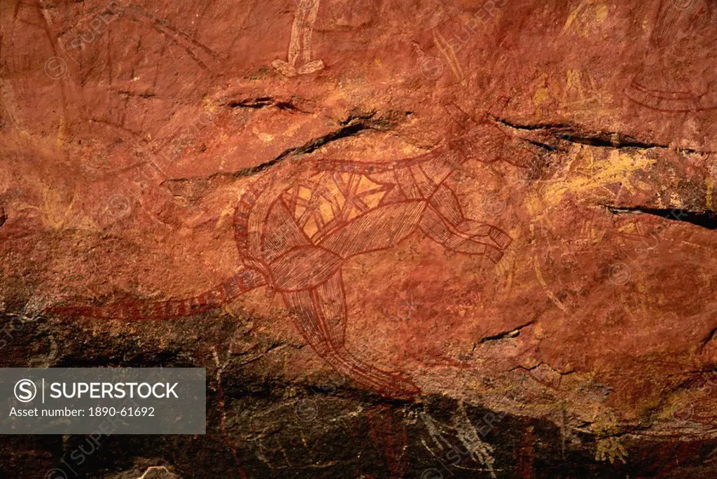 X_ray style painting of a wallaby at the Aboriginal rock art site at Ubirr Rock, Kakadu National Park, where paintings date from 20000 years old to pr...