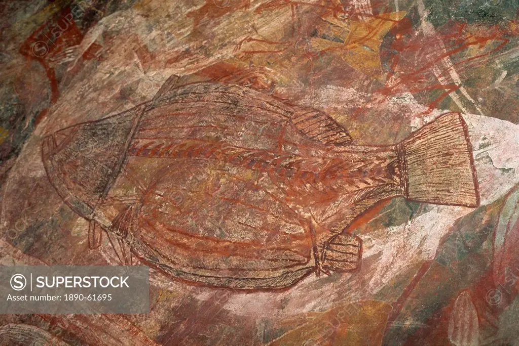 X_ray style fish at the Aboriginal rock art site at Ubirr Rock, Kakadu National Park, where paintings date from 20000 years old to present day, UNESCO...