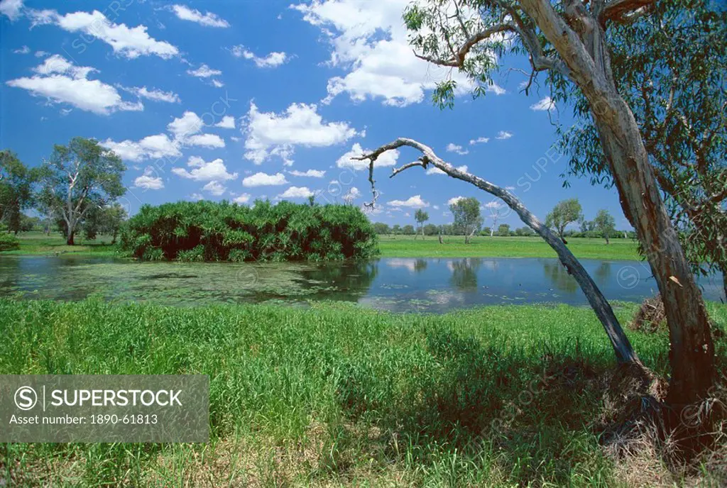 The Yellow Water wetlands on floodplain of the Alligator River, Kakadu National Park, UNESCO World Heritage Site, Northern Territory, Australia, Pacif...