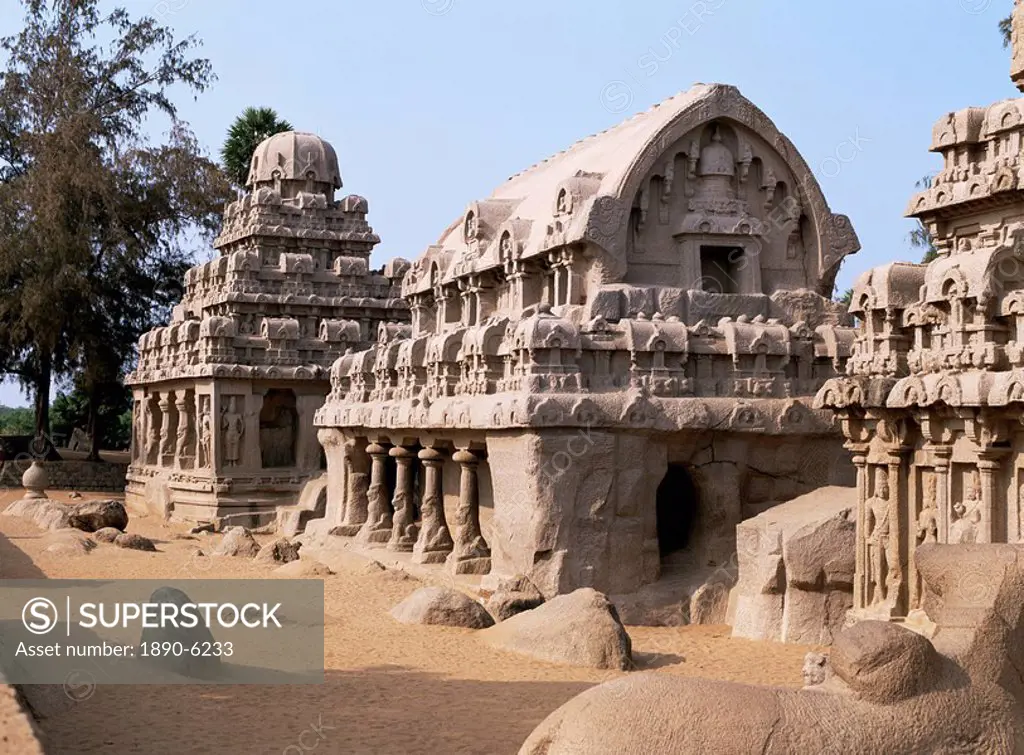 Group of rock cut temples called the Five Rathas 5 chariots, dating from circa 7th century AD, Mahabalipuram Mamallapuram, UNESCO World Heritage Site,...