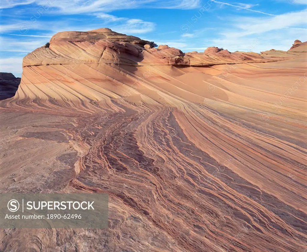 Rock formation known as Swirls on Colorado Plateau, Arizona, United States of America U.S.A., North America