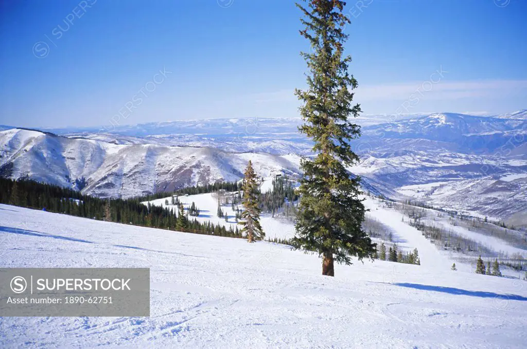 Snowmass Ski Area near Aspen, Colorado, USA