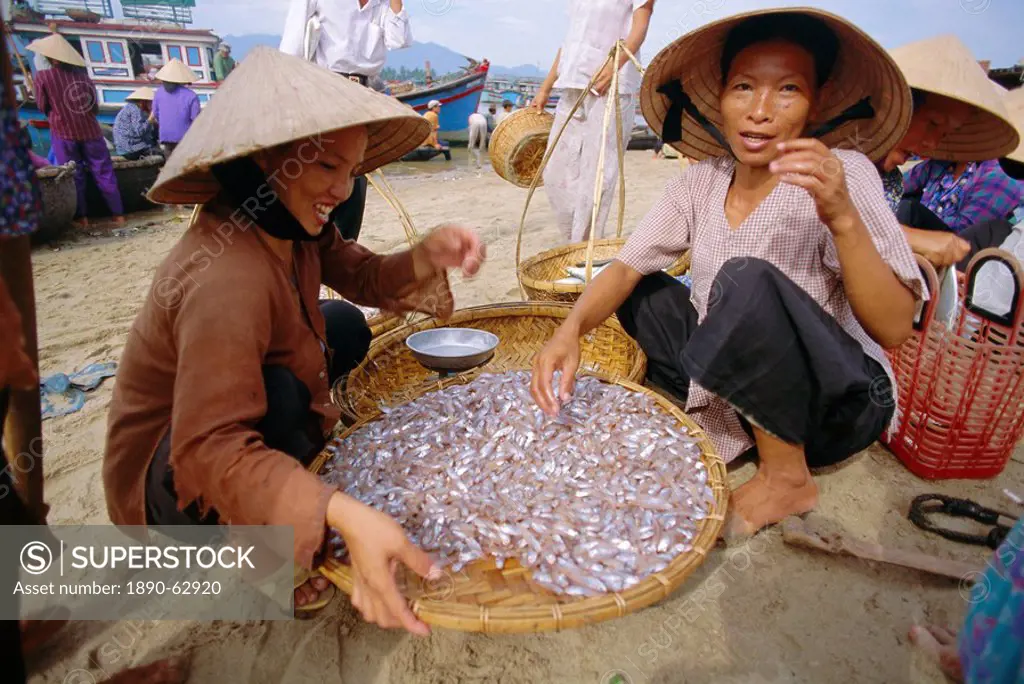 Morning fish market, Nha Trang, Vietnam, Indochina, Southeast Asia, Asia