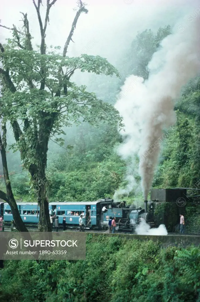 Steam train on the way to Darjeeling, West Bengal state, India, Asia