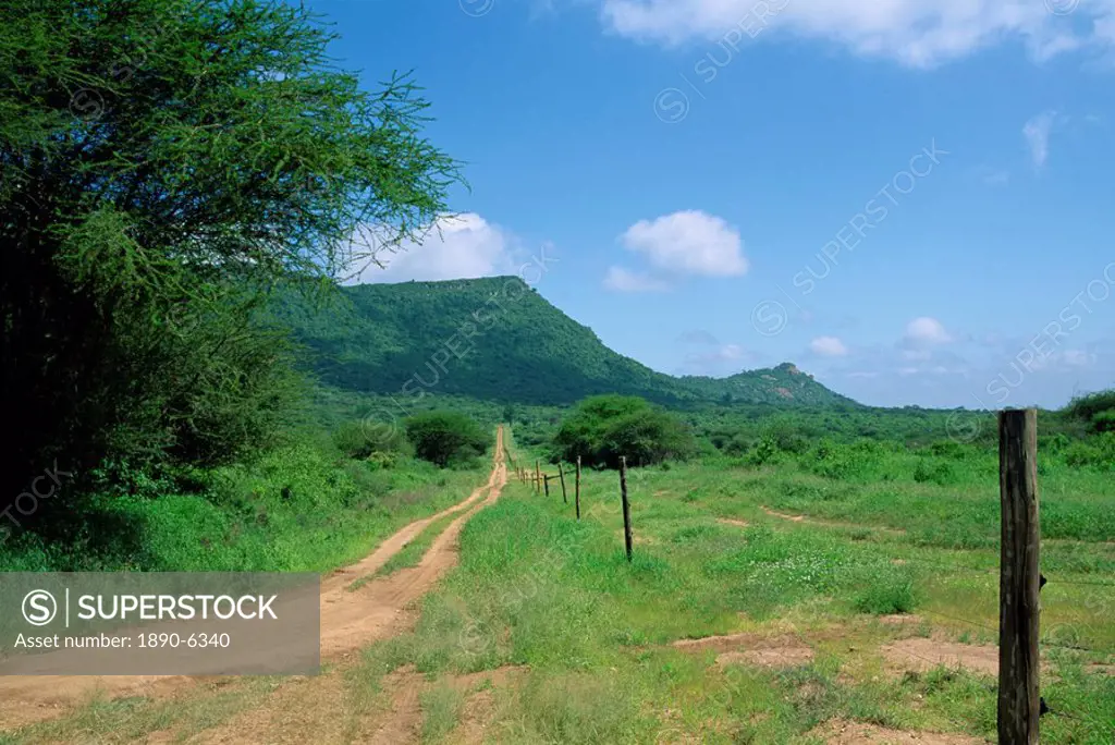 Boundary fence, Tsavo West National Park, Kenya, East Africa, Africa