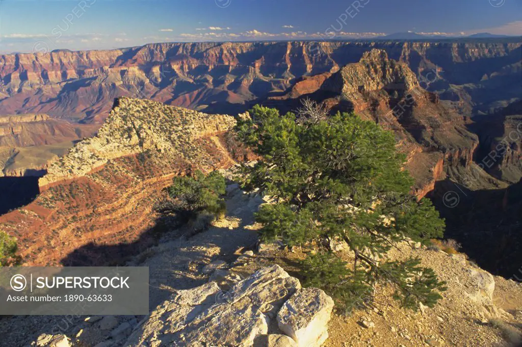 The Grand Canyon National Park, UNESCO World Heritage Site, Arizona, USA, North America