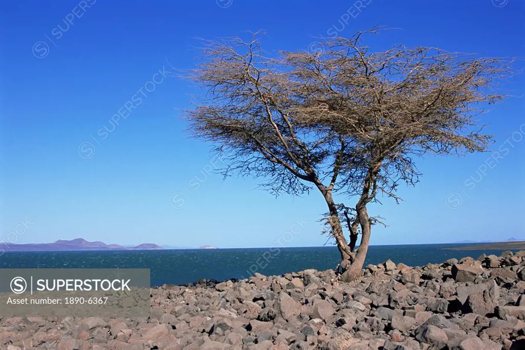 Lake Turkana, Kenya, East Africa, Africa