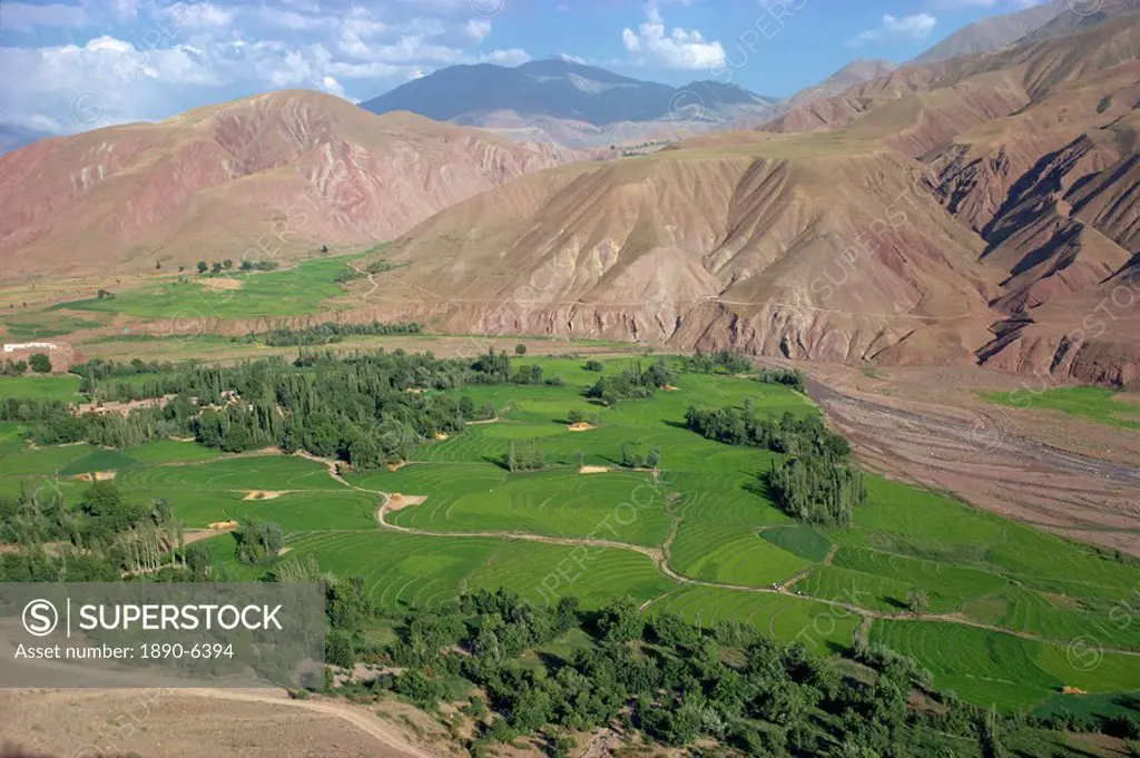 Rice fields and terracing in a valley in the Shahrak region, Iran, Middle East