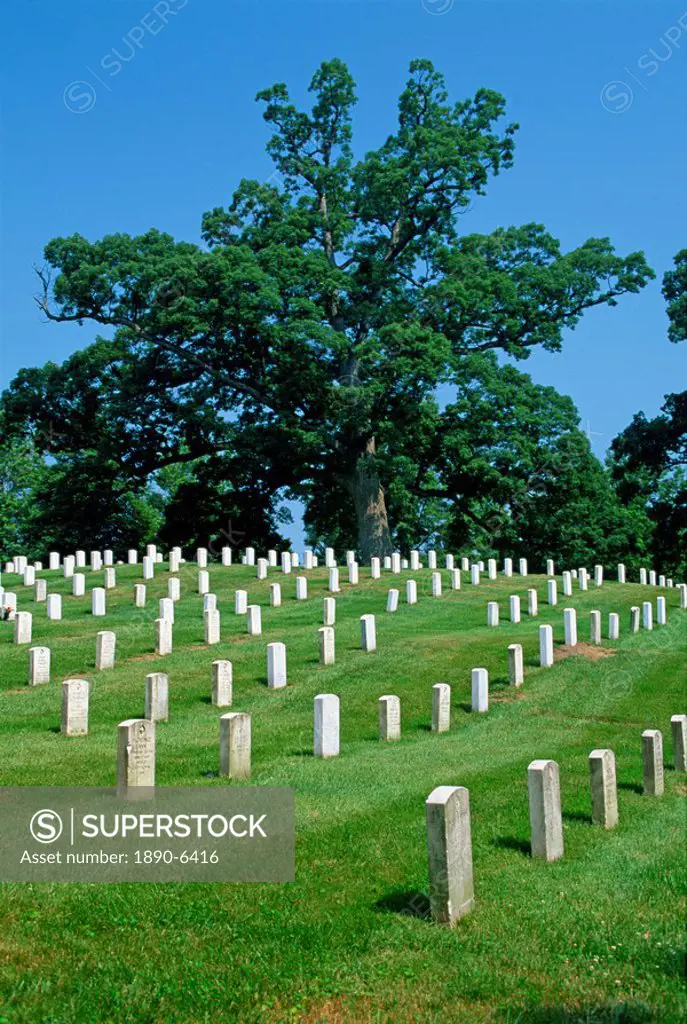 Rows of headstones on graves in the Arlington Cemetery, Virginia, United States of America, North America