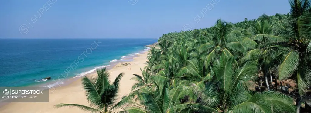 Coconut palms and beach, Kovalam, Kerala state, India, Asia