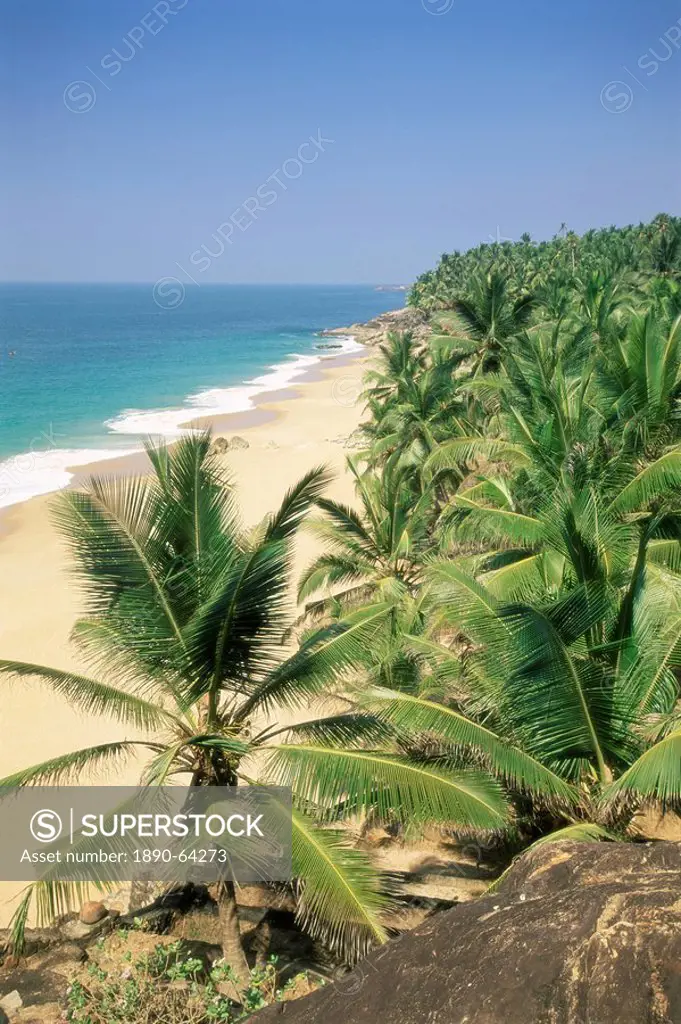 Coconut palms and beach, Kovalam, Kerala state, India, Asia