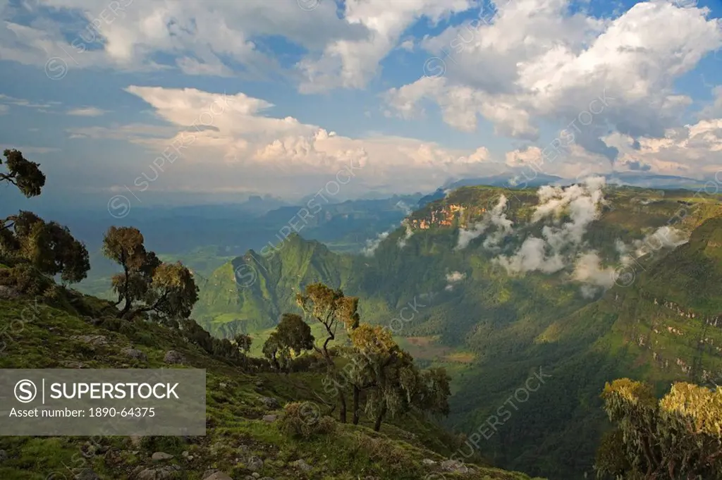 View looking towards the Nortern Escarpment near Sankaber, UNESCO World Heritage Site, Simien Mountains National Park, Ethiopia, Africa