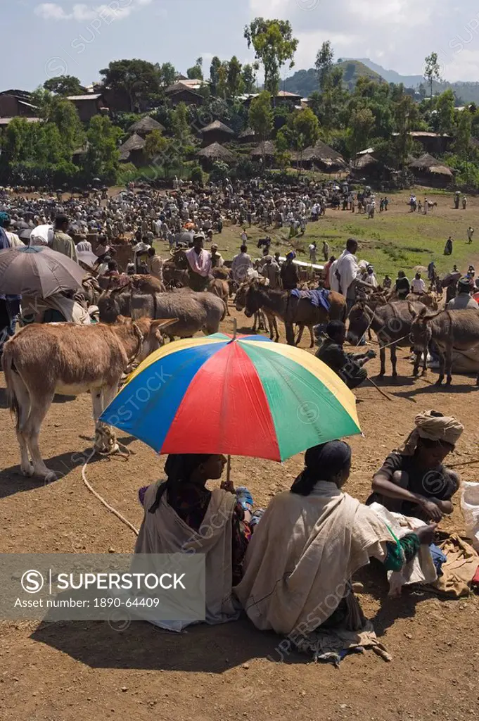 People walk for days to trade in this famous weekly market, Saturday market in Lalibela, Lalibela, Ethiopia, Africa