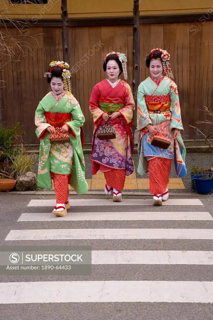 Maiko apprentice geisha walking in the streets of the Gion district wearing traditional Japanese kimono and okobo tall wooden shoes, Kyoto, Kansai reg...